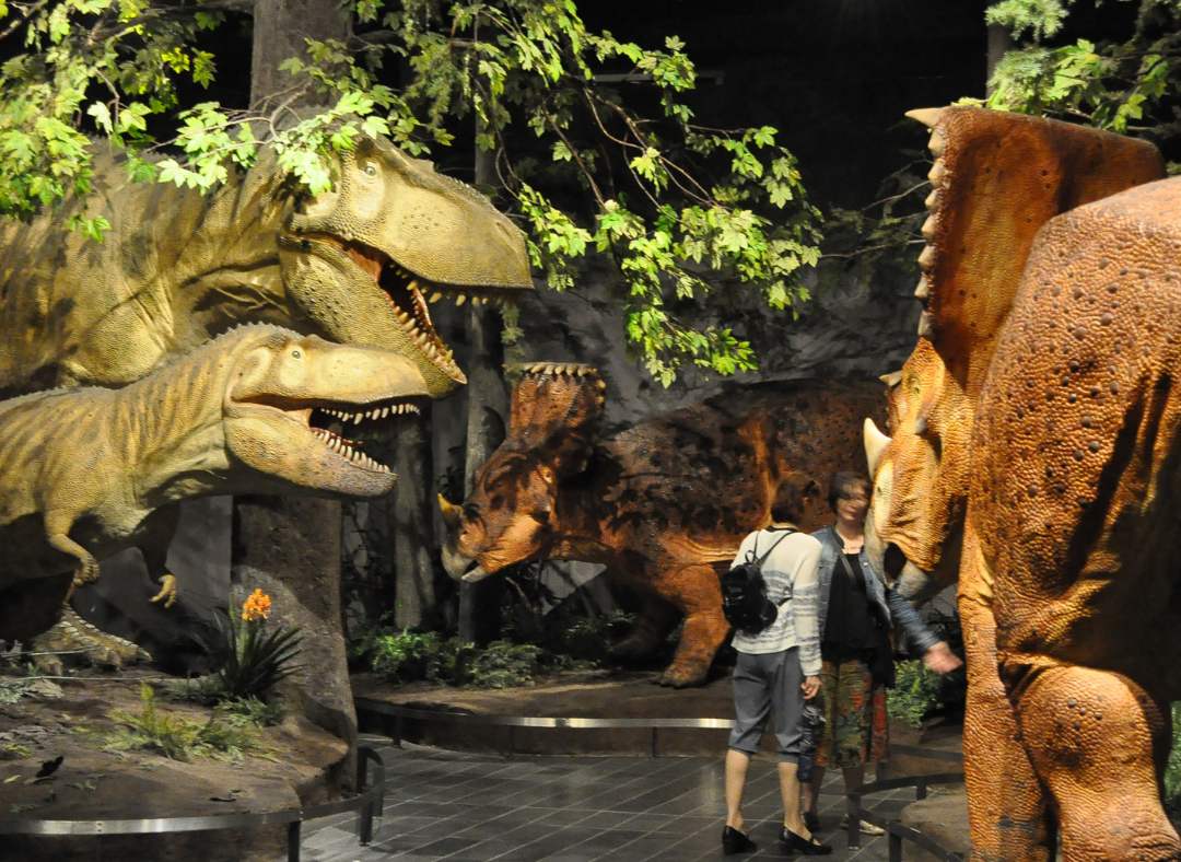 diorama